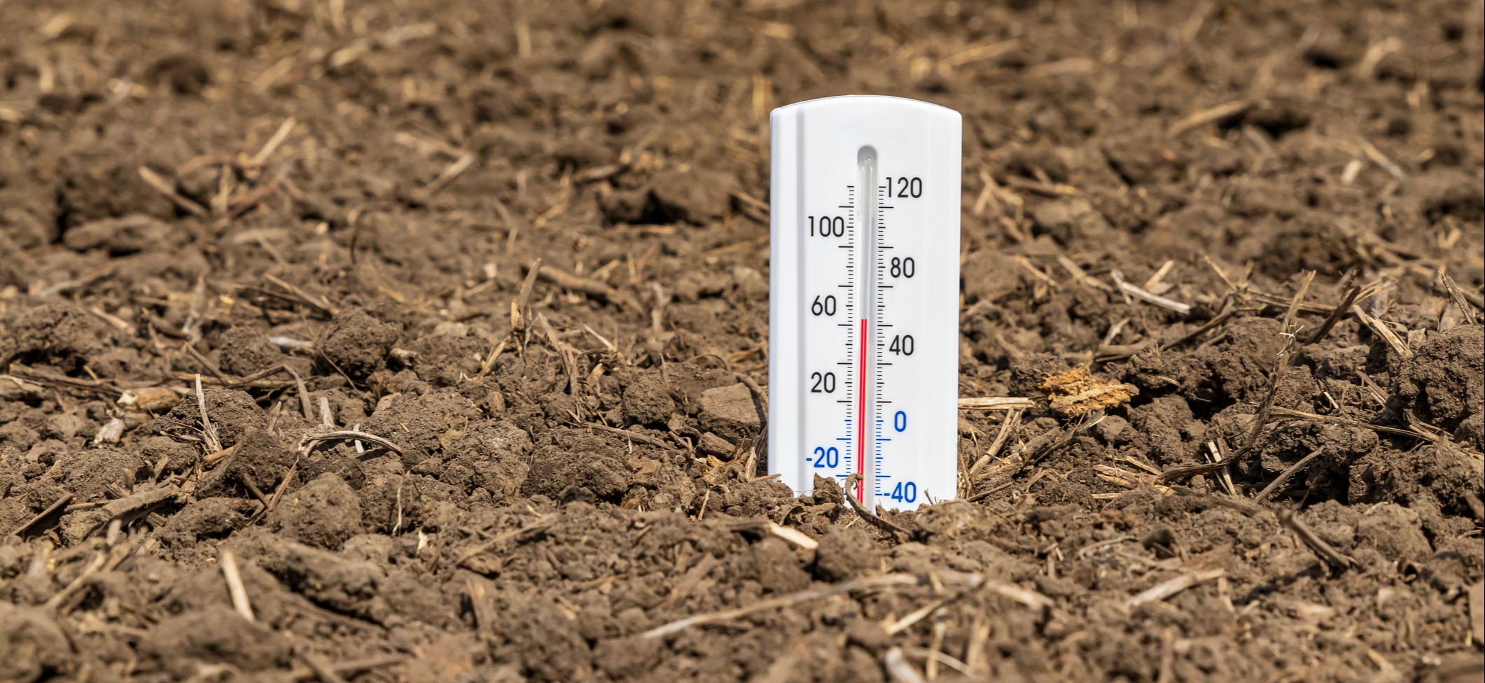 Thermometer is soil of farm field