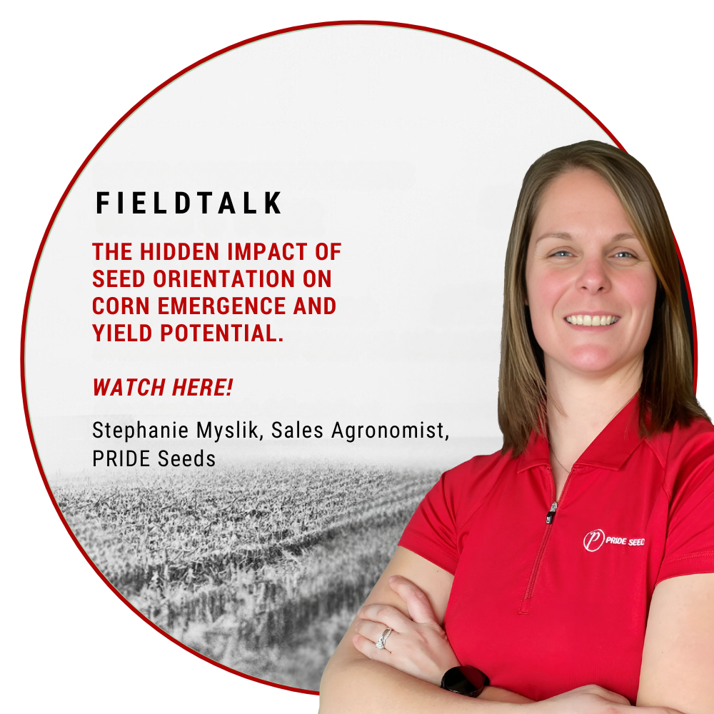 Field Talk - Steph Myslik Field Talk - Steph Myslik