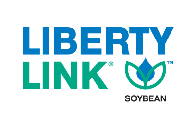 Liberty Link Soybeans